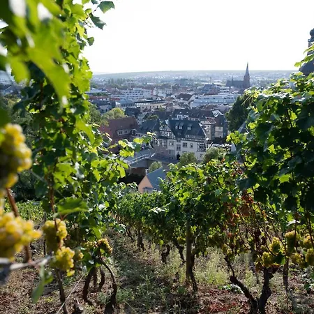 Kauzenberg Hotel Bad Kreuznach