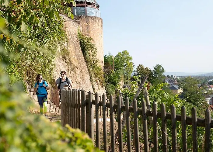 Kauzenberg Bad Kreuznach