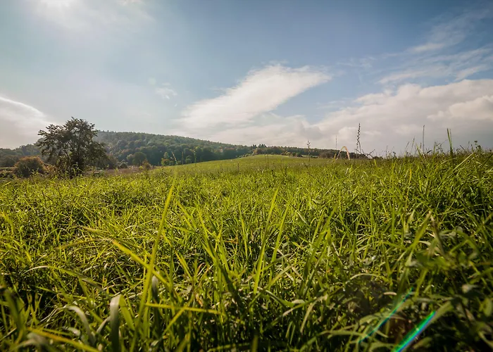 ホテル Kauzenberg 3*